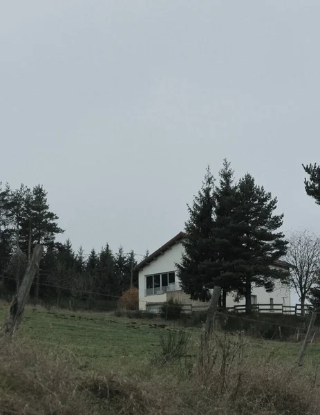 Ağacın arkasında saklanan bir ev