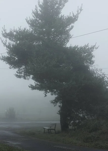 Sisin yuttuğu bir yol