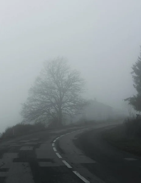 霧に飲み込まれた道 — ストック写真