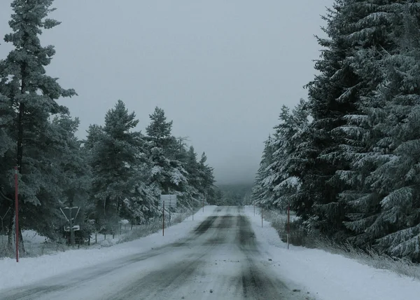 kar ile kaplı bir yol