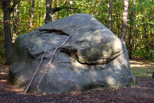 Uma enorme pedra dividida na floresta. — Fotografia de Stock