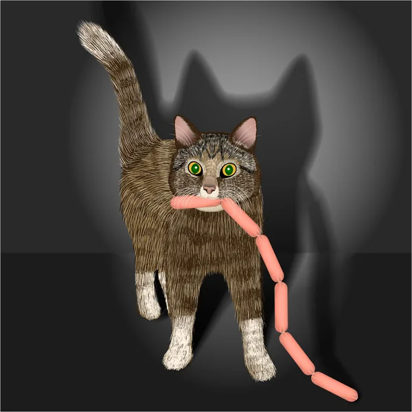Gato doméstico despojado cinza com salsichas. Caçador nocturno — Vetor de Stock
