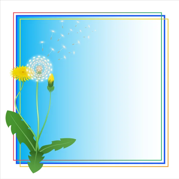 Tarassaco Taraxacum Blowball Flower Blue Frame — Vettoriale Stock