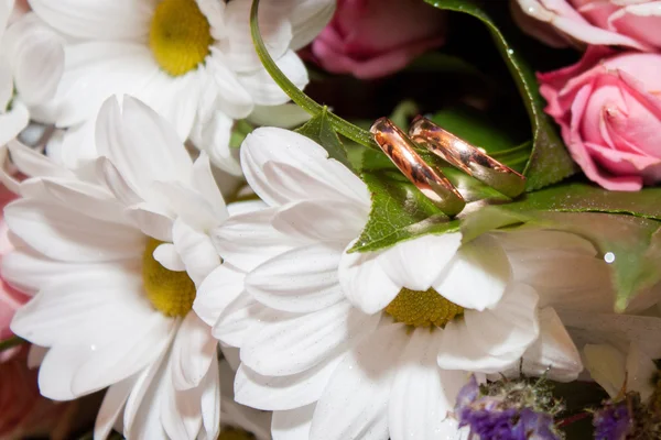 Bröllop ceremoni vigselringar på blommor — Stockfoto