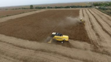 Sonbaharda tarım alanında mahsulleri toplayan iki hasatçının hava görüntüsü. Sonbaharda büyük bir tarım bölgesinde buğday mahsulü toplayan iki modern biçerdöver. Gökyüzü etkileyici ve gri görünüyor.