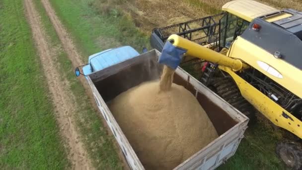 Aerial View Modern Combine Harvester Throwing Crops Truck Box Agro — Stock Video