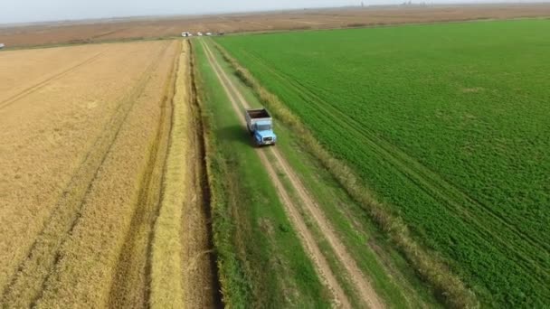 Aerial Shot Date Combine Harvester Moving Truck Early Autumn Astonishing — Stock Video