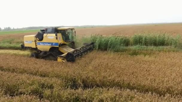 Kiev Ukrayna Ekim 2020 Günümüzün Güzel Yan Görüntüsü Buğday Hasatçısının — Stok video