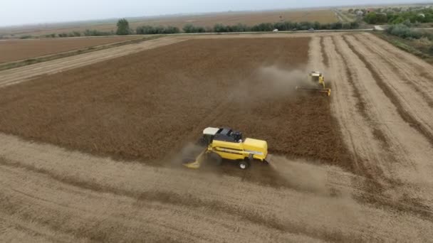 Flygfoto Två Skördetröskor Som Samlar Grödor Agroområdet Hösten Utmärkta Sidobilder — Stockvideo