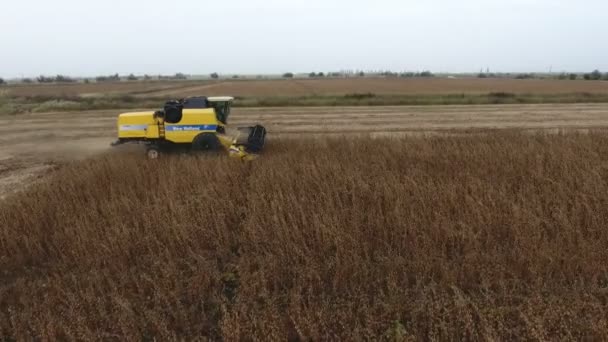 Kiev Ukraine October 2020 Gorgeous View Large Modern Combine Harvester — Stock Video