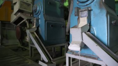 Taze pirinci metalik yalakalara dökmek için yeni pirinç işleme cihazı. Pirinçle kaplanmış büyük bir metal aletin etkileyici bir görüntüsü. Tarım fabrikasının içindeki metalik bir oluğa atmak için..