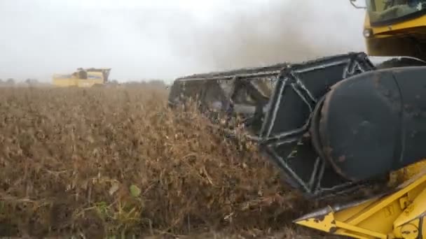 在一个大农田里 最新的联合收割机收割轮作和收割大豆 这是现代联合收割机收割轮作和收割大豆的欢快特写 看起来很好 — 图库视频影像