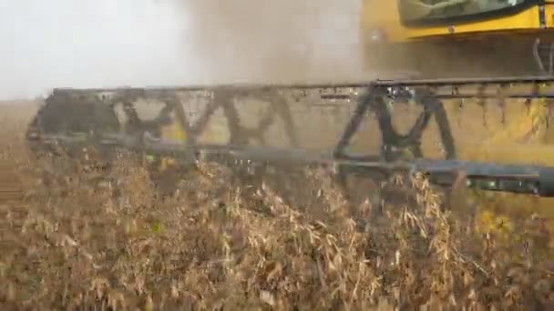近代的なコンバイン ハーベスター レーキが旋回し 大きな畑で大豆のスパイクを切断現代のクローズアップは 秋に大きな農地で大豆の作物を旋回し 収集するプロングとハーベスター レーキを組み合わせます プロに見える — ストック動画