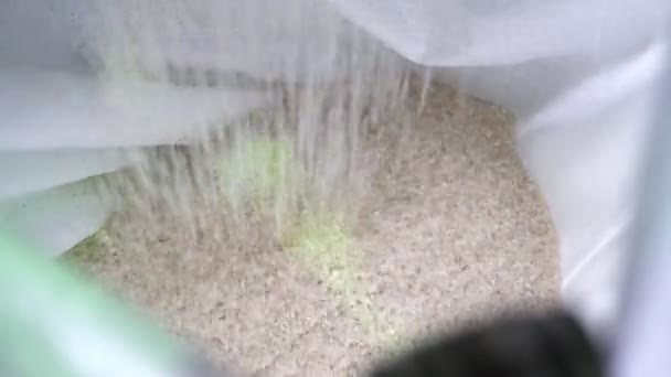 Ris Bearbetning Och Förpackning Vita Säckar Modern Jordbruksanläggning Imponerande Bild — Stockvideo