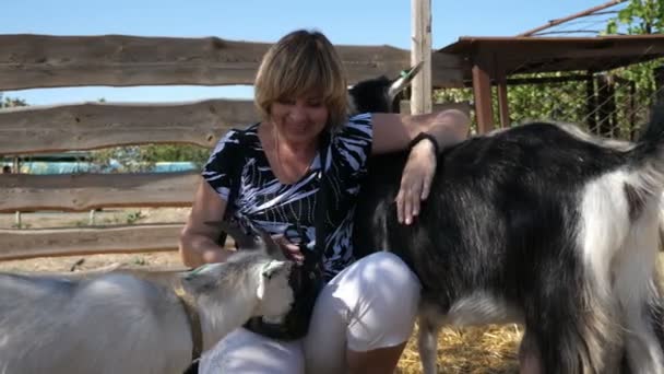 Mulher Feliz Acariciando Apalpando Cabras Babá Uma Fazenda Livre Verão — Vídeo de Stock