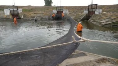 Kiev, Ukrayna-24 Ekim 2020: Ringa balığı yakalayan ve banka kancalarına sabitlenmiş büyük bir ağın iplerini çeken üniformalı birkaç profesyonel adamın alışılmadık görüntüsü. Dayanıklıdırlar..