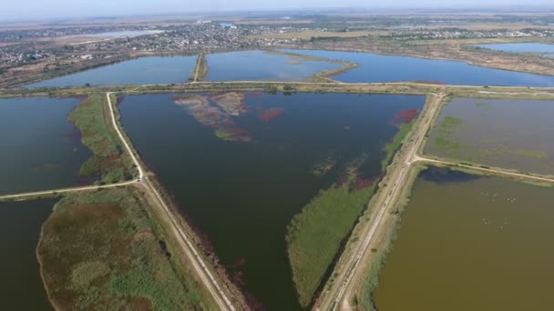 Fotografia Aérea Cruzamento Triangular Barragens Plantas Peixe Com Estradas Verão — Vídeo de Stock