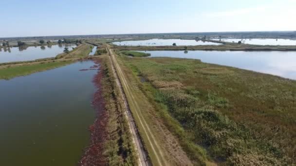 田舎道のストレートフィッシュプラント堤防の空中撮影 夏の大きな池未舗装の道路や大きなプール 夏の低飛行無人機からドニプロ盆地の湿地とストレートフィッシュプラントダムの鳥目ビューをリベット — ストック動画