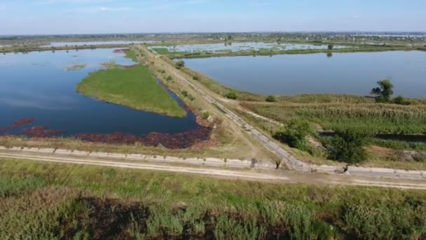 Letecký Snímek Rybích Hrází Špinavými Cestami Trojúhelníkovými Jezírky Létě Úžasný — Stock video