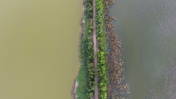 Aérea Presa Recta Cubierta Con Camino Estrecho Vegetación Fábrica Pescado — Vídeos de Stock