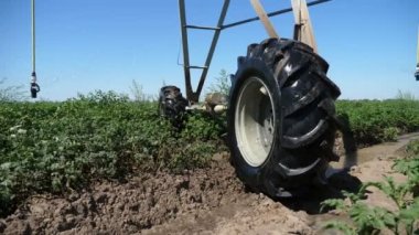Yazın yeşil patates yetiştirmek ve güneşli bir yaz gününde, ufksuz bir yeşil patates tarlasında asılı bir nozla büyük bir ekin püskürtme sisteminin neşeli bir şekilde kapanması. İlham verici görünüyor..