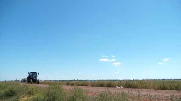 Trator Movimento Rápido Com Cultivador Campo Horizontal Dia Ensolarado Verão — Vídeo de Stock