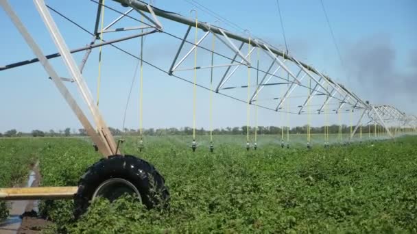 Große Erntemaschine Bewegung Sprühen Kartoffelfeld Mit Wasser Slo Beeindruckende Ansicht — Stockvideo