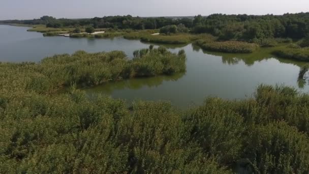 Luftaufnahme Der Wilden Landschaft Des Dnipro Beckens Einem Sonnigen Sommertag — Stockvideo