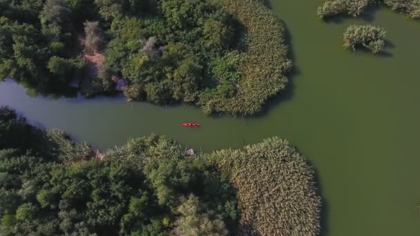 Liten Röd Båt Paddlar Längs Smal Kanal Mellan Två Gröna — Stockvideo