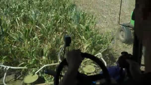 夏になると緑の地で稲刈りをします コックピットに座っている収穫機の運転手を組み合わせ 夏に畑で回転する歯車で熟した米を収集するプロセスをチェックする印象的なビュー — ストック動画