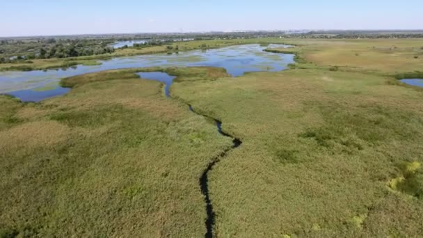 Flygfoto Våtmarker Dnipros Flodområde Solig Dag Sommaren Imponerande Fågelperspektiv Våtmarker — Stockvideo