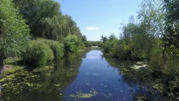 Vue Aérienne Une Crique Étroite Avec Des Bateaux Bois Sur — Video