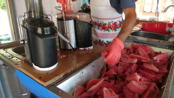 新鲜而粉色的西瓜中心是一个大的亲搅拌机的塑料管 它把肉质的 玫瑰红色的西瓜中心片放在一个小型农业植物透明搅拌机的透明塑料管中 作为特写镜头 它看起来不错 — 图库视频影像