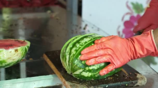 Vrouwelijke Handen Gloces Snijden Rijpe Watermeloenen Een Grote Landbouwplant Professionele — Stockvideo