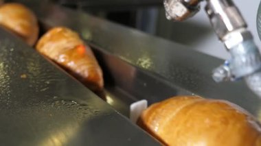 Modern bir fırında metalik bir taşıyıcı üzerinde hareket eden lezzetli ve çıtır kruvasanlar modern bir fırın fabrikasında büyük bir taşıyıcı şeritte hareket eden ve yatan lezzetli ve aromatik kruvasanların neşeli manzarası. Baharatlı ve lezzetli görünüyorlar..