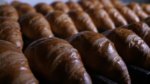 Muchos Croissants Calientes Deliciosos Que Yacen Bastidores Metálicos Una Planta — Vídeos de Stock
