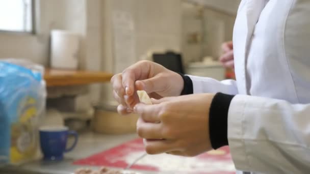 Small Workshop Female Workers Making Stuffed Dumplings Hands Funny Closeup — Stock Video