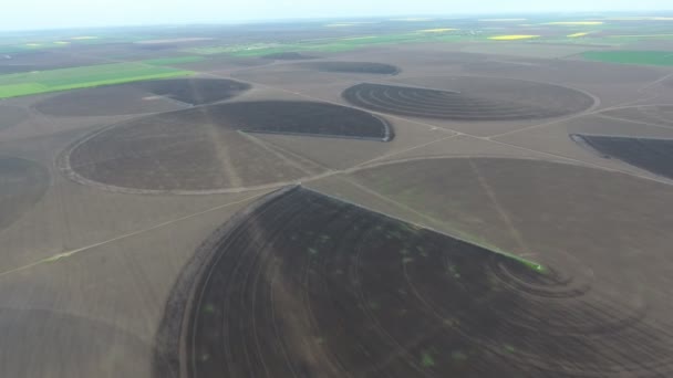 Letecký Snímek Fixace Kulatých Ploch Obrovském Zemědělském Poli Slunečného Jarního — Stock video