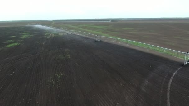 Aerial Shot Long Irrigation Tubes Watering Boundless Agricultural Area Spring — Stock Video