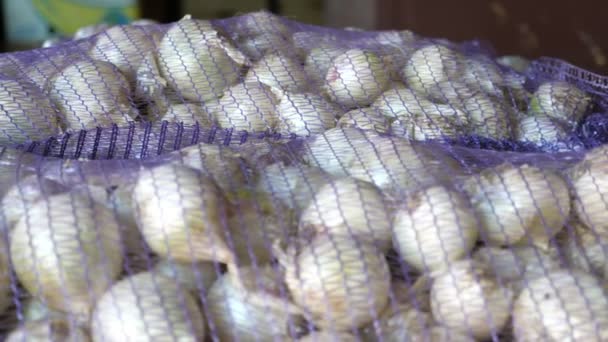 在一个农业仓库里的一个大的网袋里装着成熟的大蒜 在一个农业仓库里的一堆网袋里装着成熟的大蒜 这是令人难忘的特写 它看起来很健康 很有激情 很快乐 — 图库视频影像