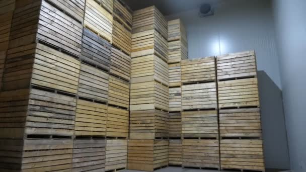High Piles Wooden Pallets Large Agricultural Warehouse Hall Gates Impressive — Stock Video