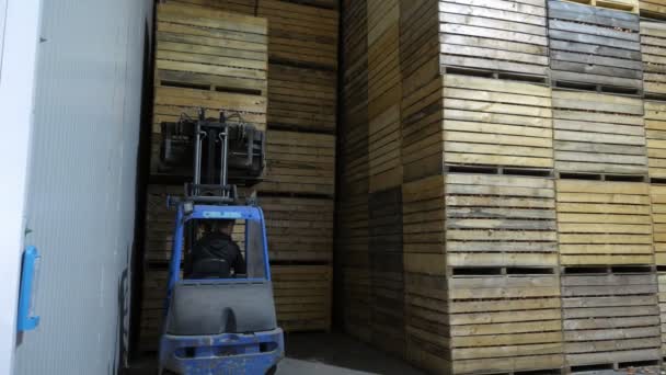 Petite Jitney Prendere Pacchetto Grandi Pallet Legno Grande Magazzino Arioso — Video Stock