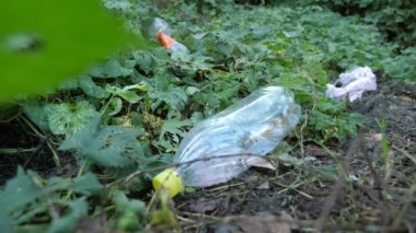 Yeşil çimlerin üzerinde uzanan plastik şişeler yaz mevsiminde, yeşil çimlerin üzerinde uzanan ve güneşli bir yaz gününde açık havada bir eko-aktivistin elleriyle toplanan iki büyük plastik şişe merakla seyredilirken, eldivenin içindeki ellerle alınır. Neşeli görünüyor..