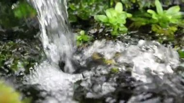 Yazın karanlık bir ormanda yosunlu taşların arasında hareket eden hızlı bir nehre düşen dağ şelalesi güneşli bir yaz gününde yosunlu taşların arasında hızla akan bir nehre düşen bir dağ oluğunun büyüleyici görüntüsü. Gizemli görünüyor.