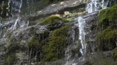 Kristal damlaları olan kayaların arasındaki peri masalı oluğu yavaş çekimde eski yosunlu taşların üzerine yuvarlanıyor. Büyülü, şeffaf şelalenin dağlardaki görüntüsü. Güneşli bir yaz gününde eski karanlık kayalardan süzülen su damlaları..