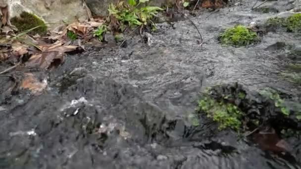 Bergwaterval Spatten Rustig Neer Tussen Groene Donkere Stenen Een Oud — Stockvideo