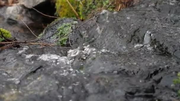 夏の晴れた日には 平らな苔むした石のカスケードを通ってゆっくりと下に移動する山の滝の陽気な景色 華やかで美しい — ストック動画