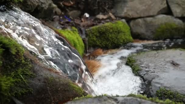 Ranura Montaña Con Arroyos Cascada Que Corren Giro Pronunciado Bosque — Vídeo de stock