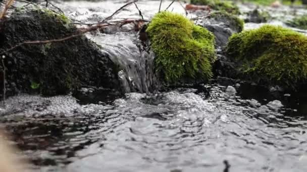 Bergbeekje Met Waterval Stroomt Zomer Naar Een Mossige Steen Een — Stockvideo