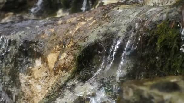 在一个神奇的森林里 山溪与瀑布在岩石之间流动 在夏天阳光灿烂的日子里 山溪与透明的湍急溪流在苔藓的石子中起泡 它看起来毛茸茸的 神奇又漂亮 — 图库视频影像